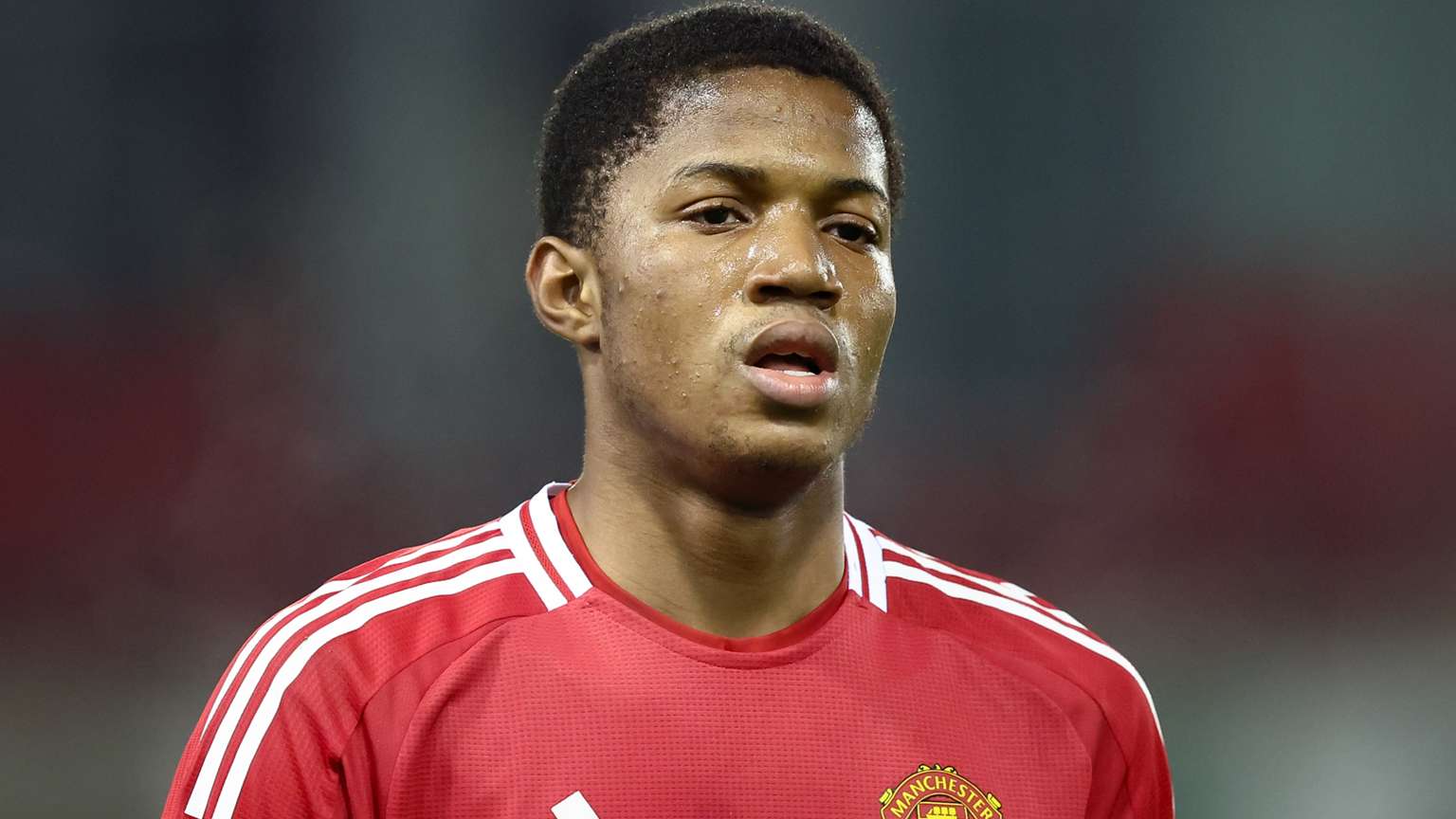 尼奥对于外 尼奥对于外